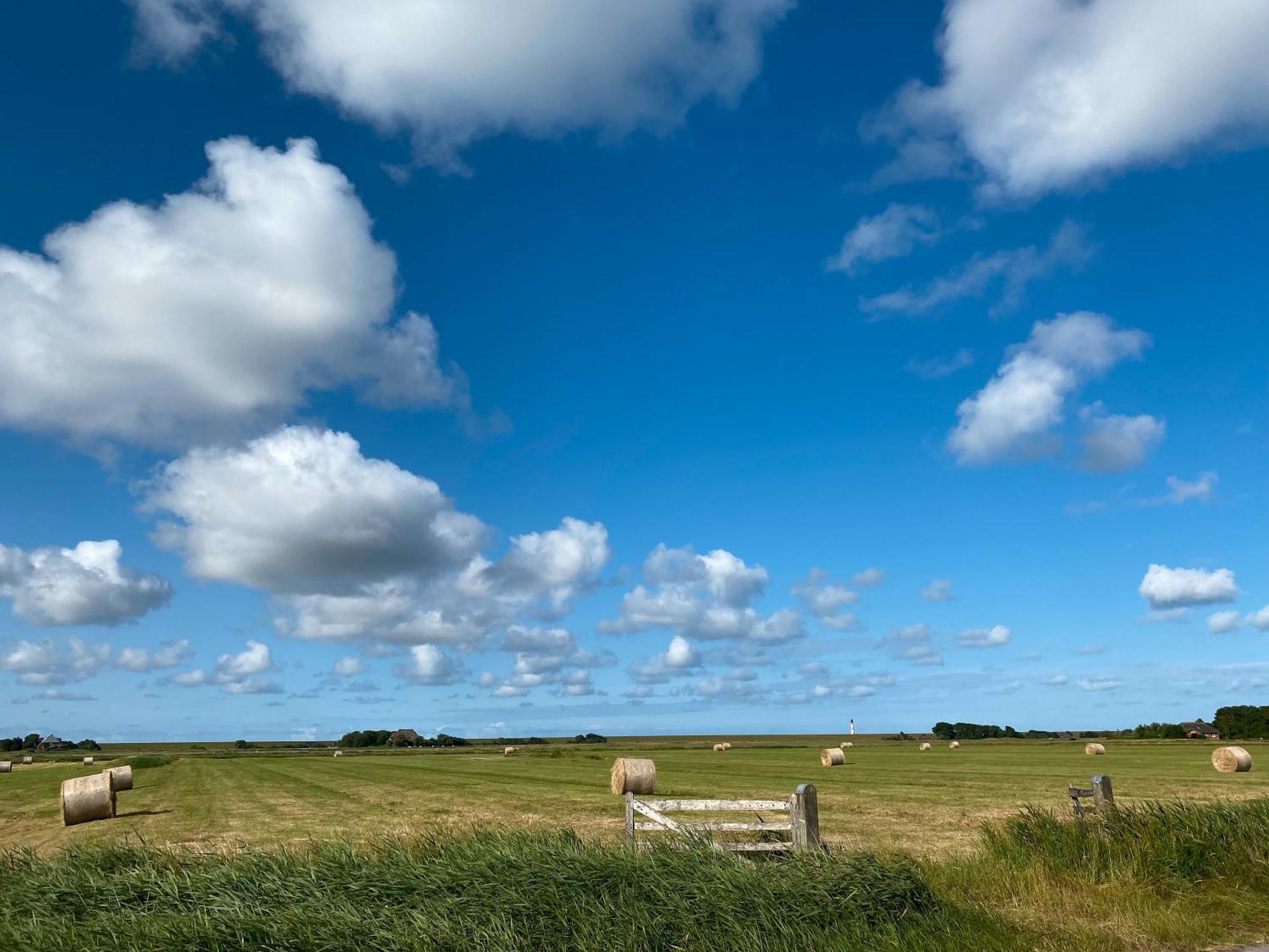 Apartamento Deichgraf Westerhever Exterior foto
